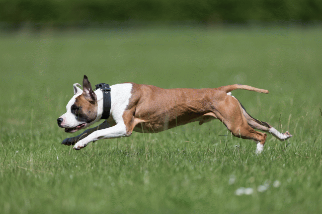 Cs3Q5533 20469521606 O