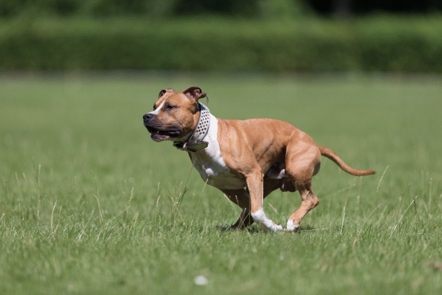 Cs3Q5512 20469537896 O