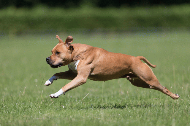 Cs3Q5494 20469555486 O