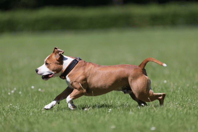 Cs3Q5474 20469570476 O