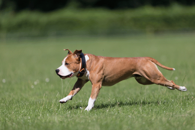 Cs3Q5465 20469578976 O