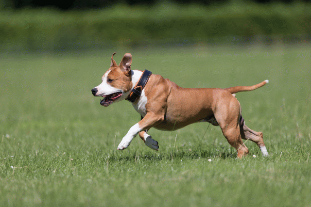 Cs3Q5464 20469580386 O