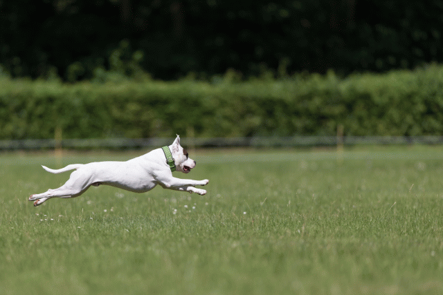 Cs3Q5423 20469618626 O