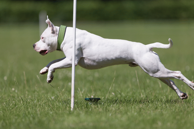 Cs3Q5407 20469628636 O