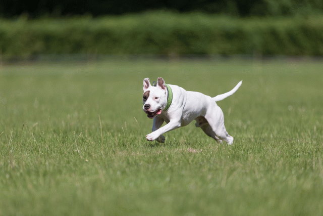 Cs3Q5391 20469648656 O