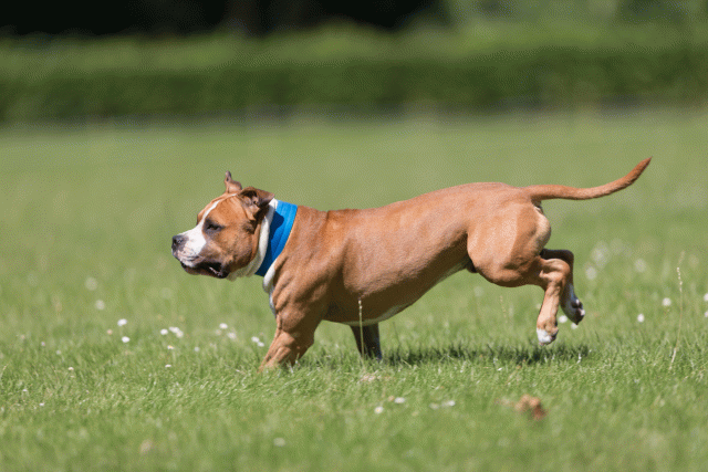 Cs3Q5374 20469656846 O