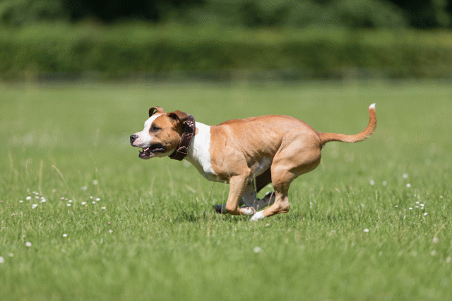 Cs3Q5342 20469692546 O