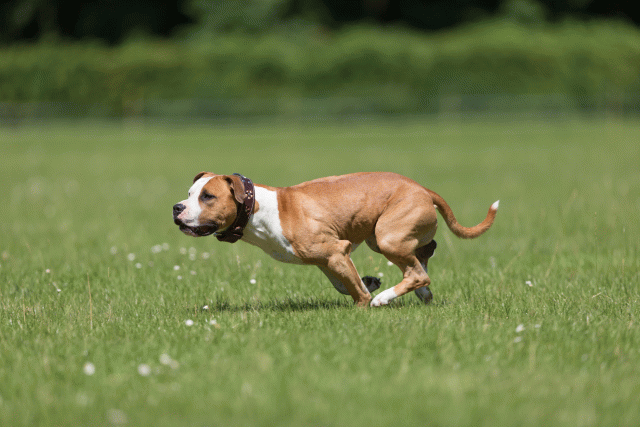 Cs3Q5338 20469697926 O