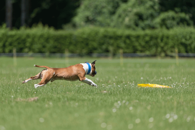 Cs3Q5315 20469712786 O