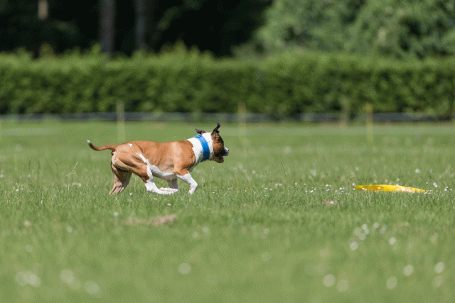 Cs3Q5314 20469713956 O