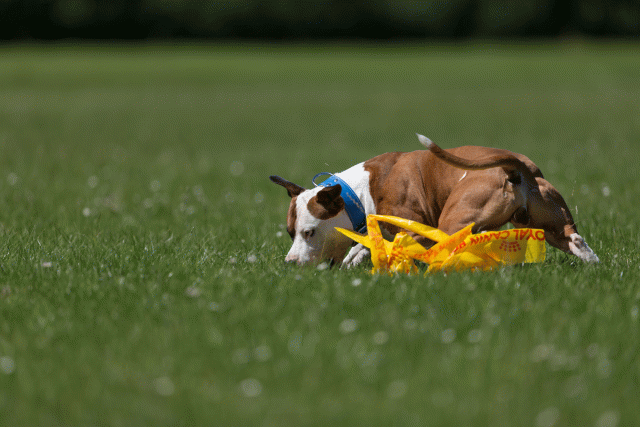 Cs3Q5299 20469727506 O