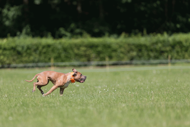 Cs3Q5289 20469736606 O