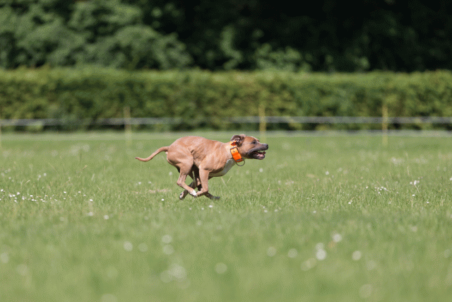 Cs3Q5281 20469744936 O