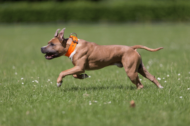 Cs3Q5275 20469746576 O