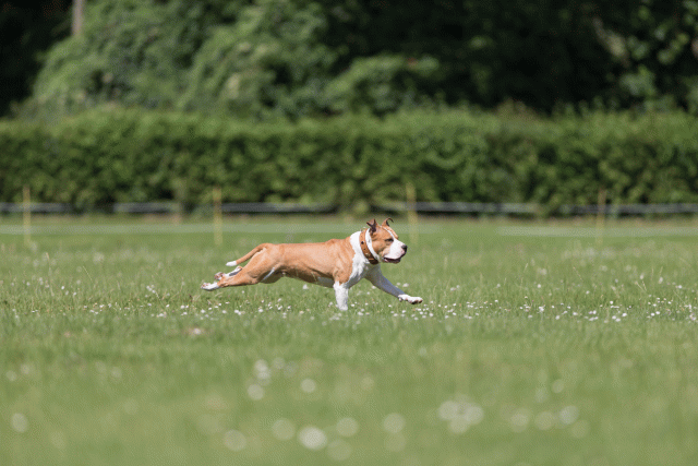 Cs3Q5242 20469779336 O