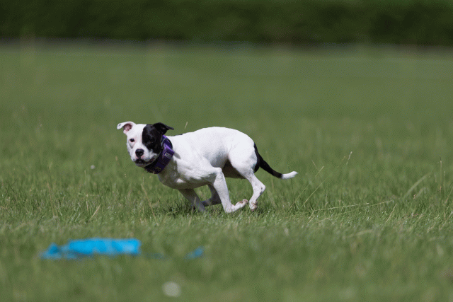 Cs3Q5807 20486706472 O