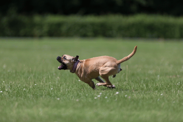 Cs3Q5800 20486712532 O