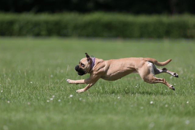 Cs3Q5799 20486714202 O