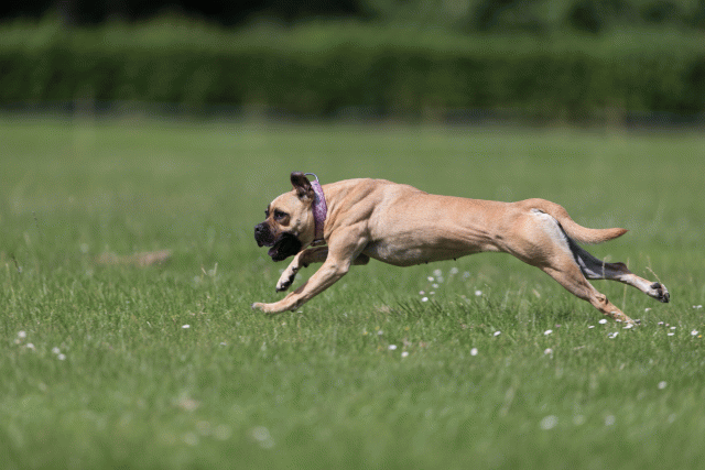 Cs3Q5795 20486717632 O