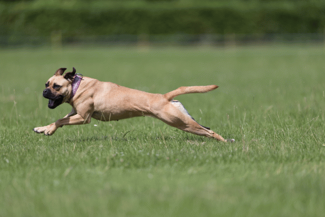 Cs3Q5792 20486721442 O