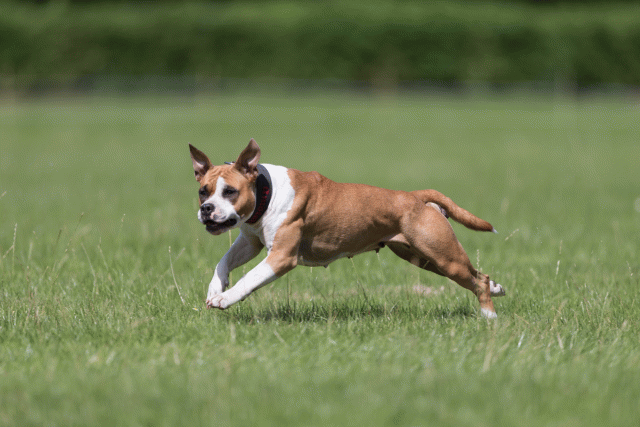 Cs3Q5752 20486757912 O