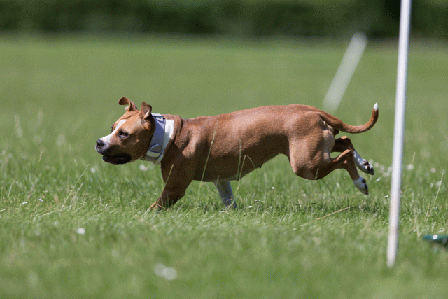 Cs3Q5723 20486781432 O