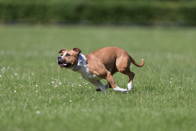 Cs3Q5720 20486784742 O