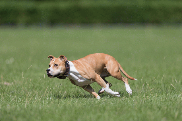 Cs3Q5695 20486808952 O