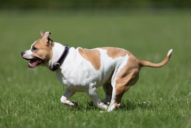 Cs3Q5647 20486839292 O