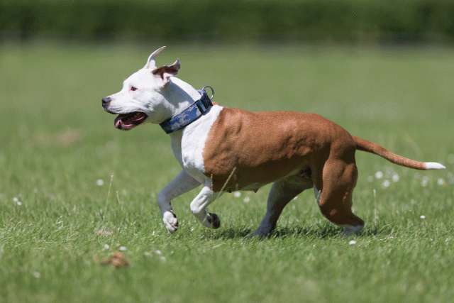 Cs3Q5631 20486854002 O