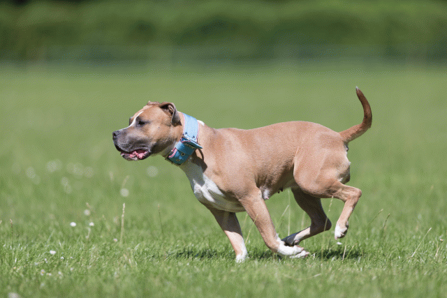 Cs3Q5612 20486873532 O