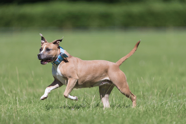 Cs3Q5606 20486881742 O