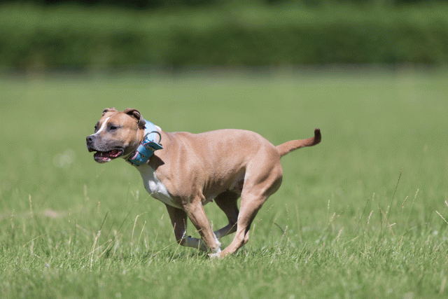 Cs3Q5605 20486882942 O