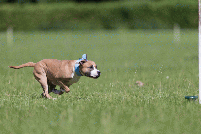 Cs3Q5587 20486894612 O