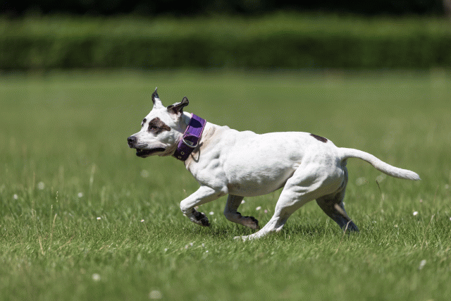 Cs3Q5571 20486907002 O