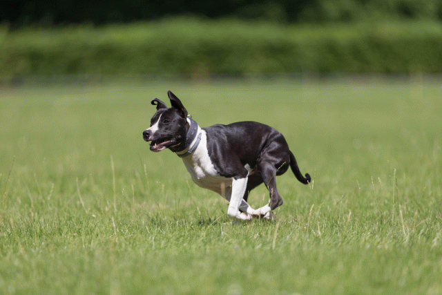 Cs3Q5428 20487044792 O