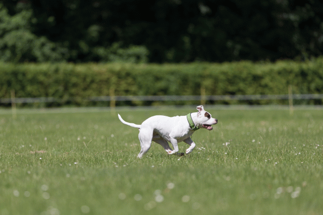 Cs3Q5413 20487056112 O