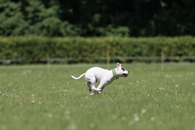 Cs3Q5412 20487057282 O