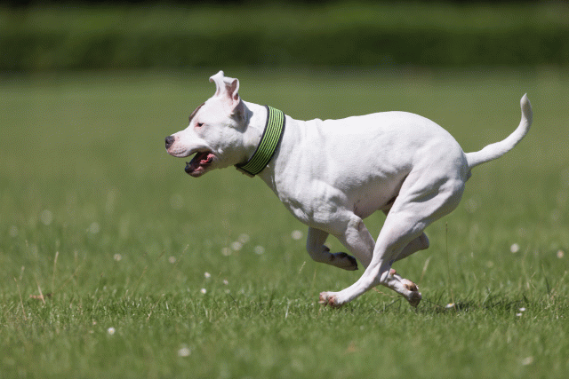 Cs3Q5405 20487063632 O