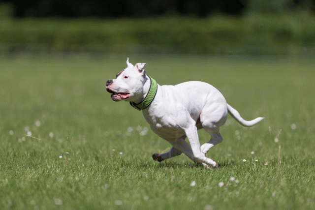 Cs3Q5397 20487074842 O