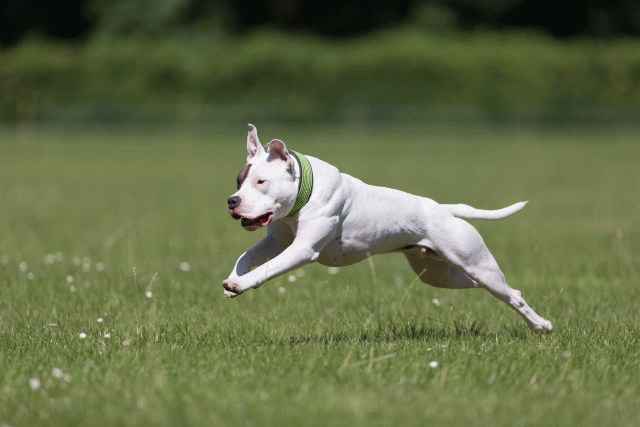 Cs3Q5395 20487076302 O