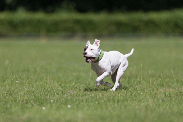 Cs3Q5394 20487077522 O