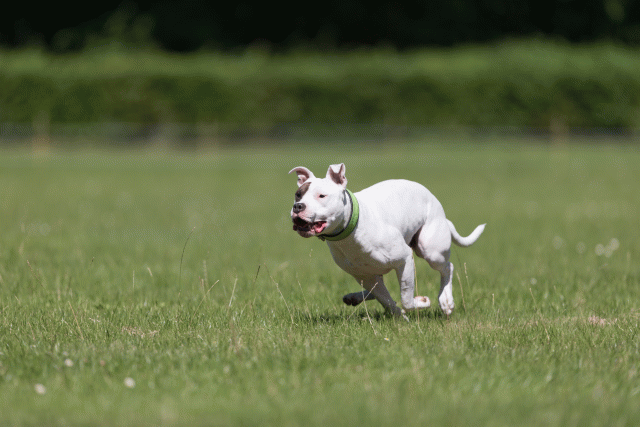 Cs3Q5393 20487079162 O