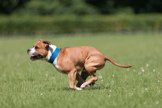 Cs3Q5371 20487093442 O