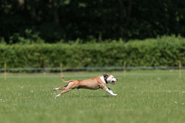 Cs3Q5357 20487107832 O