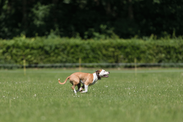 Cs3Q5355 20487109512 O