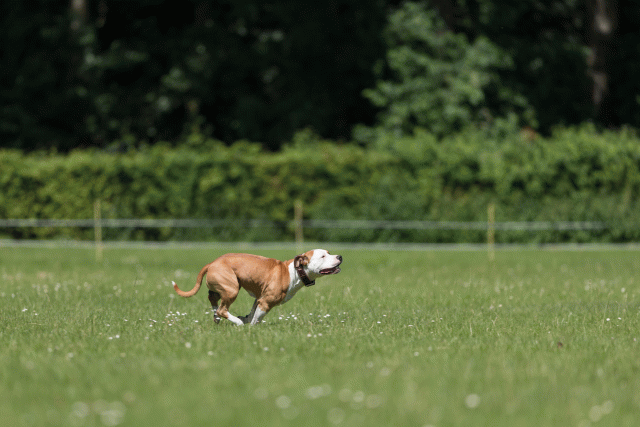 Cs3Q5354 20487110432 O