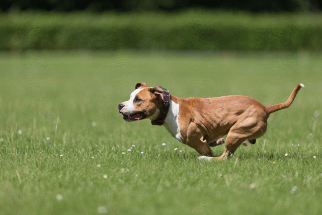 Cs3Q5348 20487113572 O