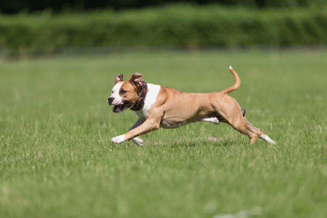 Cs3Q5333 20487137072 O