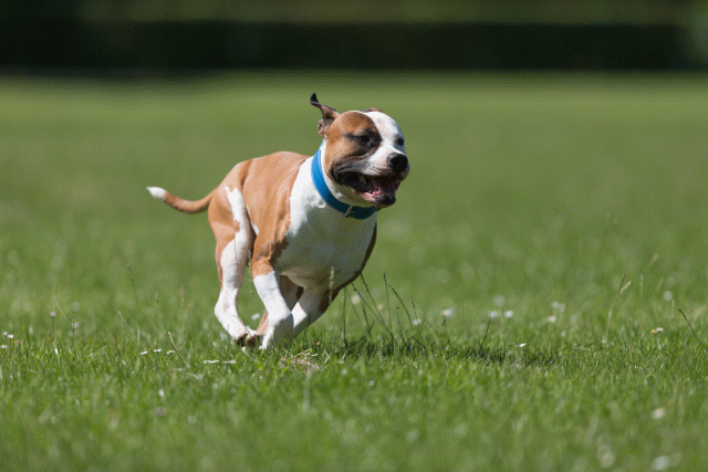 Cs3Q5304 20487155272 O